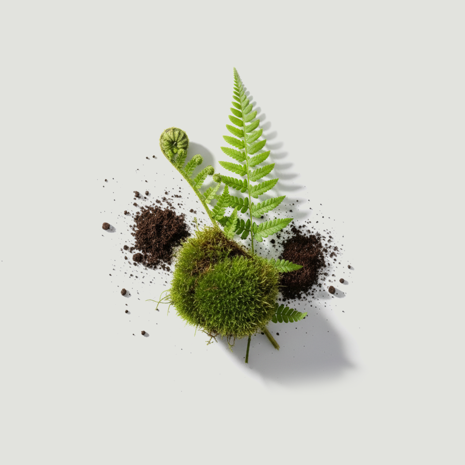 Photo inspiration: Earthy Candles Reference: Premium Earthy Candles