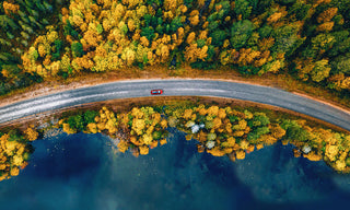 car driving through a autumn road where the trees and turning colors