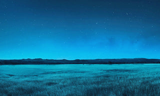 stary night with a meadow and mountains in the background