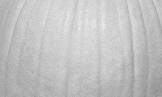 close up of a white pumpkin