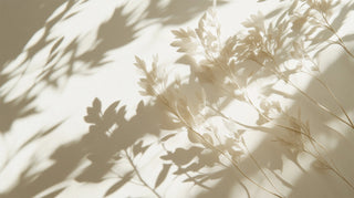 dried flower petals that have a hsdow on them on a cream background