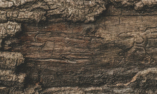 weathered wood