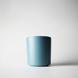 a cerulean tumber of coastal cerdarwood with a white background