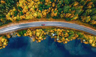 Coastal Autumn