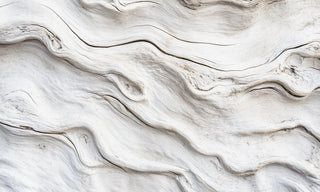 White Driftwood & Coconut