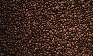 Cup O' Joe