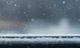 First Snowfall
