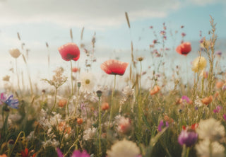 Peaches & Poppies