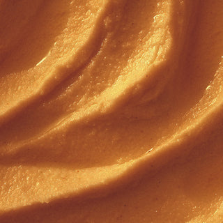 Pumpkin Lover Fall Bundle