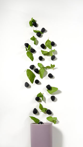 blackberries and basil coming out of a lavender jar 