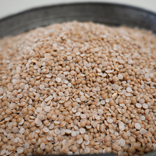 Balsam & Cedar Scented Wax Beads - 2 lbs.