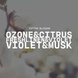 Cotton Blossom Candle - 14 oz