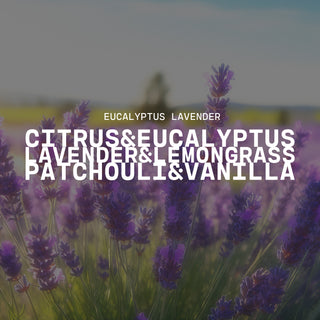Eucalyptus Lavender - 10 oz Candle
