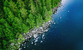 blue water with a rocky shore and forest 