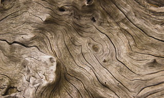 warped cedarwood 