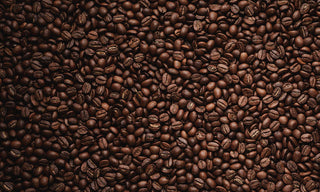 coffee beans 
