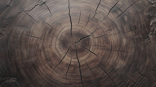 aerial view of a tree stump 