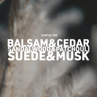 Text overlay of fragrance notes on a blurred natural background