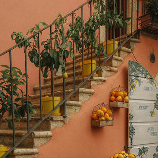 Staircase with plants and baskets of lemons against a terracotta colored wall