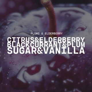 Plums & Elderberry Candle - 14 oz
