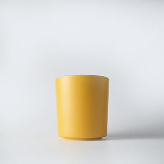 a yellow tumbler of sugared maple with a white background 
