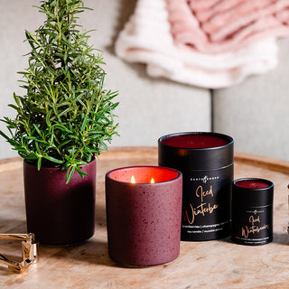 lifestyle image of iced winterberries tumblers with the tubes of both candles and then a rosemary tree replanted in one of the empty containers 