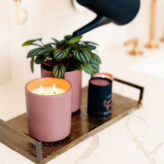 a lifestyle picture of cashmere blush candle with a votive and its tube and a plant relanted in one of the tumbler jars 