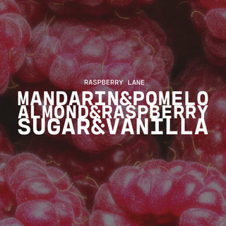 Close-up of raspberries with text overlay on a dark background