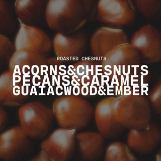 Roasted Chestnuts Candle - 22 oz