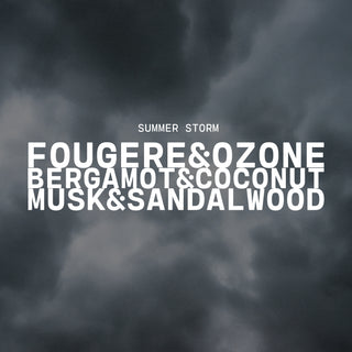 Summer Storm Soy Wax Melt